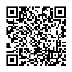 这是生气她昨天自作主张往大伯家倒动她那只过年要做的野鸡呢二维码生成