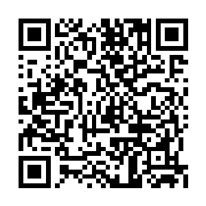 这是由阵法的杀阵结合幻阵幻化而成的一片天地二维码生成