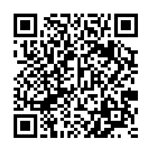 这是白泽……天道白泽……怎么皇姐把它都抓……请来了……二维码生成