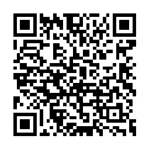 这是确定她来巴黎和洪涛约会时为她免费提供的二维码生成