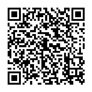 这是祖脉当年一位天资卓越的先辈创造出來的一种至刚至猛的拳术二维码生成