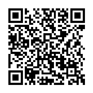 这是红荔卫视三年来周日晚同时段的最高收视率二维码生成