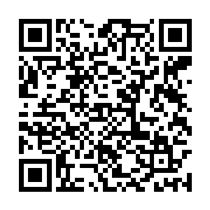 这是自己心软――哥们儿这是为了多保存一份战力二维码生成