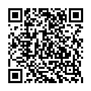 这是被自己以仙术二层的三昧真火重新祭炼过的二维码生成