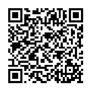 这是要把两位中年男子从梅花的包围中给救出来二维码生成