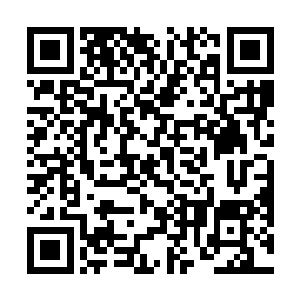 这是费南世界少数几种可以破坏掉黑暗龙神龙鳞的物品二维码生成