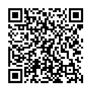 这是近两三个月来公司为五行吾素签下的唯一一份商演合约二维码生成