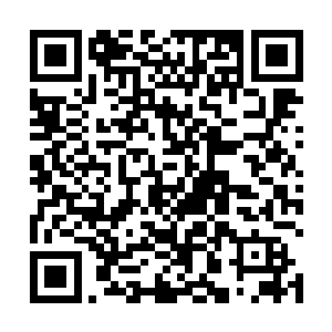 这是这两颗梧桐树吸收了那些养分和肥料所出现的变化二维码生成
