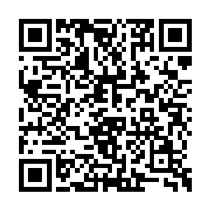 这是这个秘密的最后答案了……我若是真说出来二维码生成