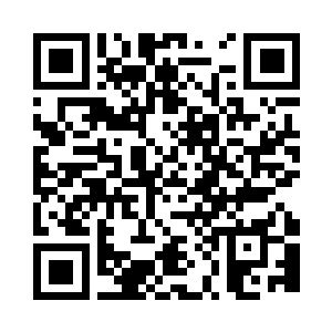 这是这只幼崽自己把自己炼化了留下的二维码生成