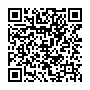 这是这台严肃的机器人第一次明确说出自己的喜欢二维码生成