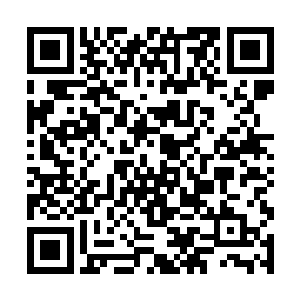 这是这块石头只有沙族族长说的那些鸡肋的功用之下二维码生成