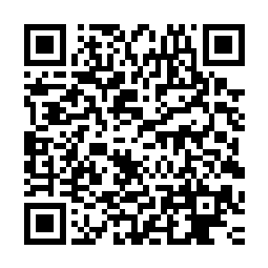 这是那些铁手门弟子冲上来之后发现严宽颓然的倒在门框边缘二维码生成