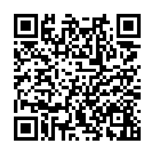 这是钟杨颖第一次跟夏云杰单独在房间里共进午餐二维码生成