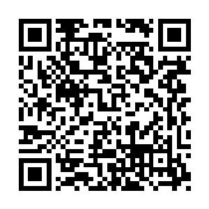 这是阅人无数的总理大人对于这位年轻人的评价二维码生成