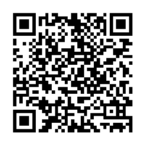 这是陆为民在向文东开始调研时专门和向文东提到的二维码生成