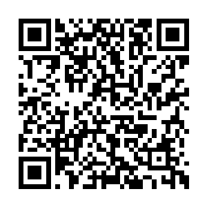 这是陆为民衡量一个干部是否合格的最基本原则二维码生成