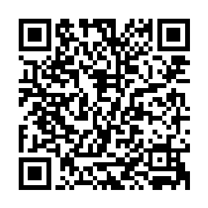 这是陈晓雪那个长舌妇故意败坏林浣溪的名声而把消息传出去的二维码生成