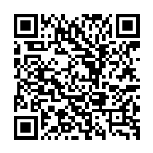 这是雨果在四年金球奖八项提名的征程之后交出了最终成绩单二维码生成