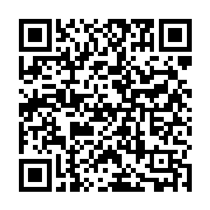 这是霜雪部几万年来与长青神树共处而开发出来的秘术二维码生成