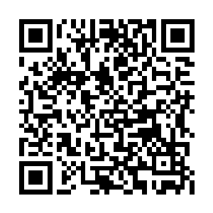 这是韩风的攻击已经达到了纯元秘境的某种界限二维码生成