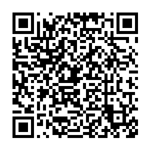 这是驭兽阁某位归一神皇饲养的一条即将踏入至尊境的丹红蛇的蛇毒二维码生成