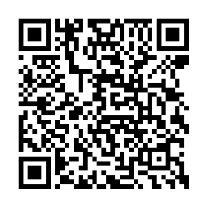 这显然是它动用了某种奇异秘术产生的效果……二维码生成