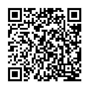 这显然是来自于清朝对民盟军及王枫的抹黑丑化二维码生成