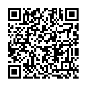 这智商比起人类等生命刚出生的时候实在是强的太多了二维码生成
