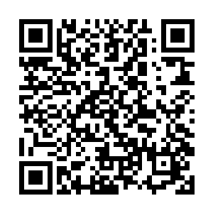 这最后一个域外天魔已经和许紫烟拉开了太远的距离二维码生成