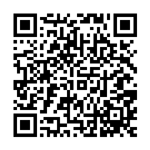 这最后一针也扎了下去……爆熊洛克的身体剧烈的颤抖了起来二维码生成