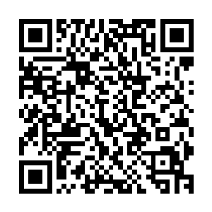 这有人不做宁化扁毛畜生灵智未开的家伙居然直接调头往回跑二维码生成