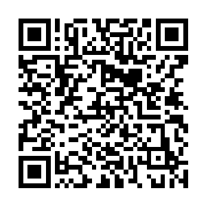 这有何难趁着现在岛民和护岛仙人也正在朝着岛心集结二维码生成