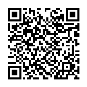 这本书究竟想要表述一个什么样子的意思和态度呢二维码生成