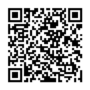 这本佛经是祥宝斋花了三百万成一位佛学爱好者那里收来的二维码生成