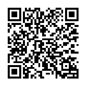 这本册子上面记载的是一个叫万魔妖灵大阵的阵法二维码生成