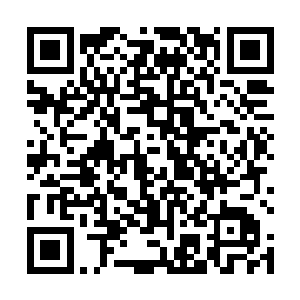 这本本草纲目之中有写道七脉针法配上你们乐家的秘术二维码生成