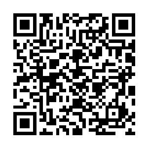 这本针术上提供的穴位和经络图比他原来学到的还要详细二维码生成