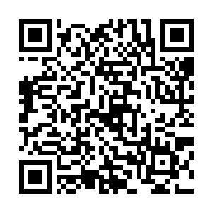 这朵在镜湖之上的灵莲似乎在表达着一种复杂又奇妙的情绪二维码生成