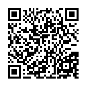 这机械巨兽也分别将六支巨大的机械臂对准了楚旬二维码生成