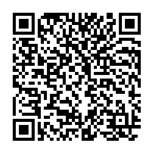 这杜蓉蓉杜大小姐乃是杜家拍卖行的创始人武圣杜引墨的亲孙女啊二维码生成