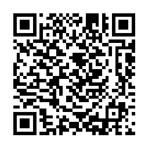 这条杀害了他们两个队友的霍拉尔黑蛇已经彻底死亡二维码生成