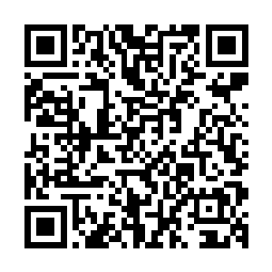 这条海蛇正跟在一个奋力滑动双臂逃命的美利坚白人士兵身后二维码生成