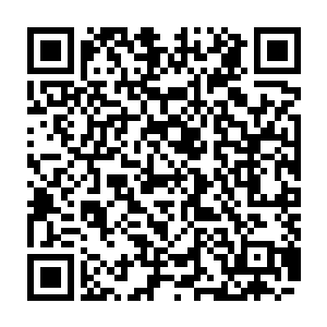 这条自称是龙但全身上下没有任何一点像龙的龙竟然是从一年多年前穿越回来的二维码生成