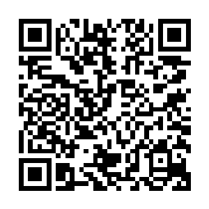 这条街道中的天眼设备又恰好是在这几天里维护升级……于是二维码生成