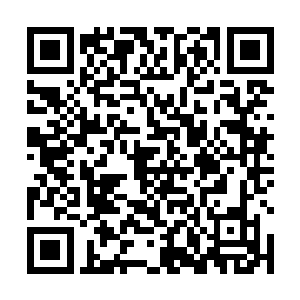 这条规则一下子就吸引了无数隐藏起来修炼的人族强者二维码生成