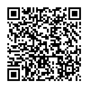 这条路是确保南潭作为日后的竹木深加工产业基地的一条关键道路二维码生成