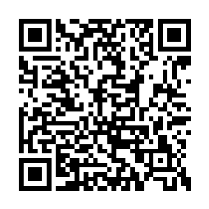 这条路老李同志骑着车来来回回的走了小二十年二维码生成