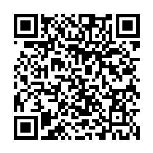 这条隐秘的通道位于那条布满吞仙石的通道的下方二维码生成