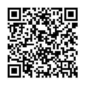 这来历不明的灵力就是我采补的女修身上的灵力二维码生成